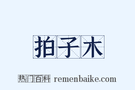 拍子木是什么意思的图片